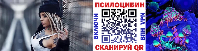 Купить закладки  Пучеж  Псилоцибиновые грибы прущие грибы